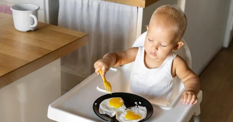 what age can babies eat fried eggs